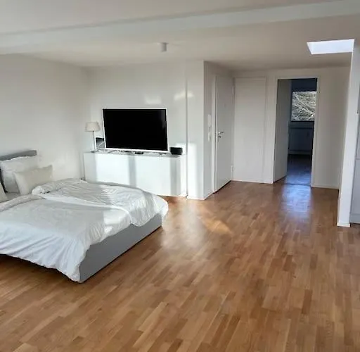 Aussenalster Penthouse Charakter Apartament *